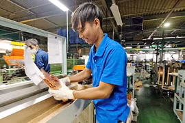 Nội các Nhật Bản thông qua chính sách mới nhằm thu hút lao động nước ngoài