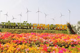 Mô hình nông nghiệp kết hợp: Nhiều giá trị