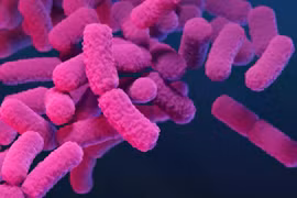 Canada công bố danh sách 29 siêu vi khuẩn nguy hiểm nhất đối với con người