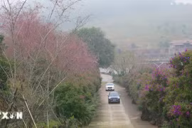 Cơ hội cho du lịch Kon Tum bứt phá sau khi hợp nhất với Quảng Ngãi