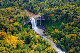 Đẩy mạnh thu hút đầu tư vào lâm nghiệp