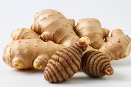 Loại gừng có thể 'triệt đường sống' của tế bào ung thư