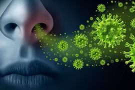 Bé gái ở Tây Ninh trở thành ca bệnh đặc biệt hiếm gặp sau khi tiếp xúc gà chết hàng loạt