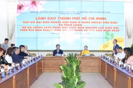 Tài lực, trí lực kiều bào