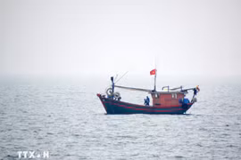 Thời tiết ngày 6/7: Vùng gần tâm bão đi qua gió giật cấp 13, biển động dữ dội