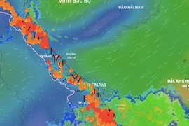 Dự báo Biển Đông sắp có bão số 13, miền Trung mưa lớn 700 mm