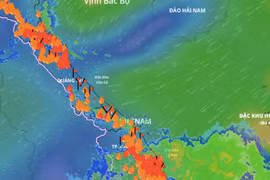 Dự báo Biển Đông sắp có bão số 13, miền Trung mưa lớn 700 mm