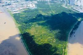 Bà Trương Mỹ Lan và Tập đoàn Vạn Thịnh Phát trình đề án khắc phục 830.000 tỉ