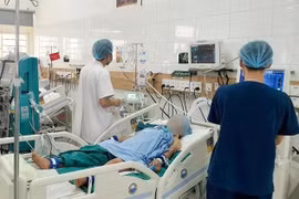 Lai Châu: Vợ chồng trẻ hôn mê sâu, tổn thương, suy đa tạng do ăn phải nấm độc