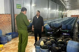 4 bị cáo lãnh án tù trong vụ giá đỗ ngâm chất cấm ở Đắk Lắk