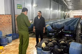 4 bị cáo lãnh án tù trong vụ giá đỗ ngâm chất cấm ở Đắk Lắk