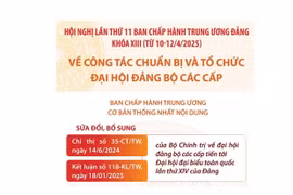 Về công tác chuẩn bị và tổ chức đại hội đảng bộ các cấp