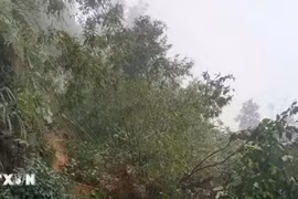 Thời tiết ngày 5/6: Miền núi Bắc, Trung, Nam Bộ và Tây Nguyên mưa to cục bộ