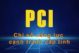 Đắk Lắk tăng 0,64 điểm, giảm 2 bậc trên bảng xếp hạng Chỉ số PCI năm 2024