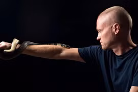 Tiêm nọc rắn để điều trị rắn cắn: Mạo hiểm hay đột phá khoa học?