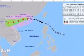 Bão mạnh nhất cấp 11-12, giật cấp 15 hướng về khu vực Bắc vịnh Bắc Bộ