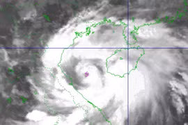 Thời tiết ngày 25/8: Bão số 5 di chuyển theo hướng Tây Tây Bắc, gió giật cấp 17