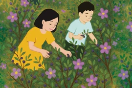 Miền tím hoa sim
