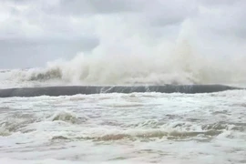 Sắp có áp thấp đầu tiên trong năm 2026 trên biển Đông, Việt Nam có ảnh hưởng?