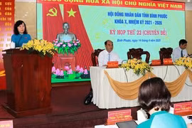 Bình Phước thông qua nghị quyết đầu tư đường cao tốc hơn 25.000 tỉ đồng