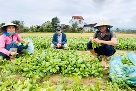 Xã Tây Sơn đẩy mạnh giảm nghèo thông tin, nâng cao dân trí