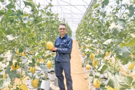 Chư Păh đầu tư xây dựng nền nông nghiệp ứng dụng công nghệ cao