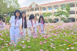 Công trình măng non: Hành động nhỏ, ý nghĩa lớn