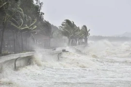 Đề nghị các bộ ngành, địa phương chủ động ứng phó áp thấp nhiệt đới trên Biển Đông