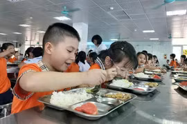 Bữa trưa miễn phí ở trường