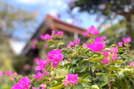 Thơ Lê Thị Kim Sơn: Đa mang ánh chiều