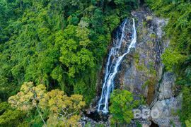 Thác 4 tầng - vẻ đẹp kỳ vĩ giữa đại ngàn