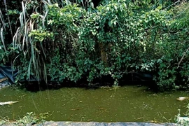 Cháu bé 5 tuổi bị đuối nước thương tâm dưới hồ tưới cà phê
