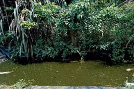 Cháu bé 5 tuổi bị đuối nước thương tâm dưới hồ tưới cà phê