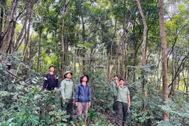 Dân làng Canh Tiến bền bỉ giữ rừng