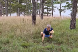 300 loài nấm rừng ở Đà Lạt: Cẩn thận nhầm 'lộc trời' với 'nấm tử thần'