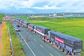 Trở về từ tâm bão Yagi