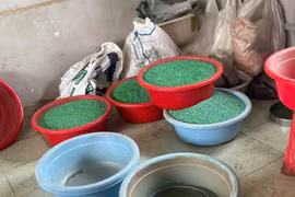 Vụ thuốc giả: Phát hiện lượng lớn thuốc giảm đau trong thuốc đông y bị thu giữ