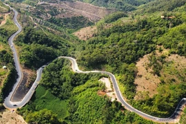 Giao thông Lâm Đồng đa dạng loại hình khi hợp nhất