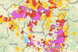 Mưa lớn trên 250 mm, 5 tỉnh nguy cơ lũ quét, sạt lở đất