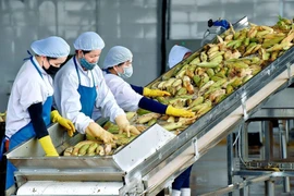 Kim ngạch xuất khẩu nông-lâm-thủy sản đạt hơn 28 tỷ USD trong 5 tháng đầu năm