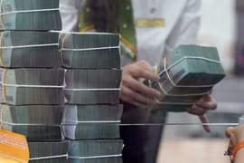 Vụ 573 loại sữa bột giả: Trốn thuế 'khủng' sao cơ quan thuế không biết?