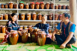 Lưu giữ “men say” của đại ngàn