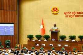 Nghị quyết chỉ định Chủ tịch, Phó Chủ tịch Hội đồng Nhân dân các tỉnh, thành phố