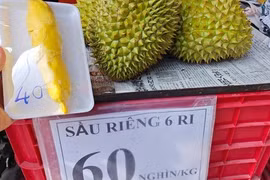 Sầu riêng loạn giá, xuất khẩu giảm sâu