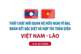 Điểm lại các dấu mốc lịch sử trong quan hệ Việt Nam-Lào