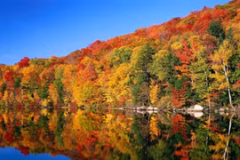 Canada là điểm đến ưu tiên của nhiều phụ nữ Mỹ