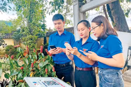 Số hóa dữ liệu các “địa chỉ đỏ”