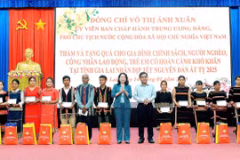 Phó Chủ tịch nước Võ Thị Ánh Xuân: Đảm bảo mọi người dân đều được đón Tết vui tươi, đầm ấm