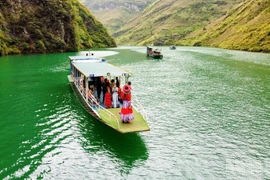 Mênh mang sắc xanh Nho Quế