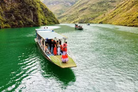 Mênh mang sắc xanh Nho Quế